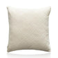 Velvet Cushion Covers