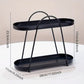 Double Layer Storage Rack Iron Two-Tier Organizer